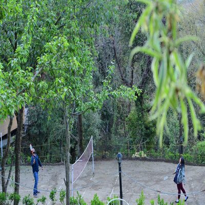 Forest Survival Games